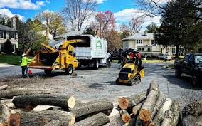 Reliable Richfield, UT Tree Services Solutions