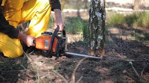 Best Arborist Consultation Services  in Richfield, UT